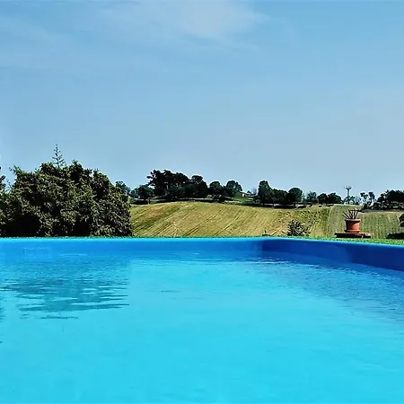 For 5 In With Pool